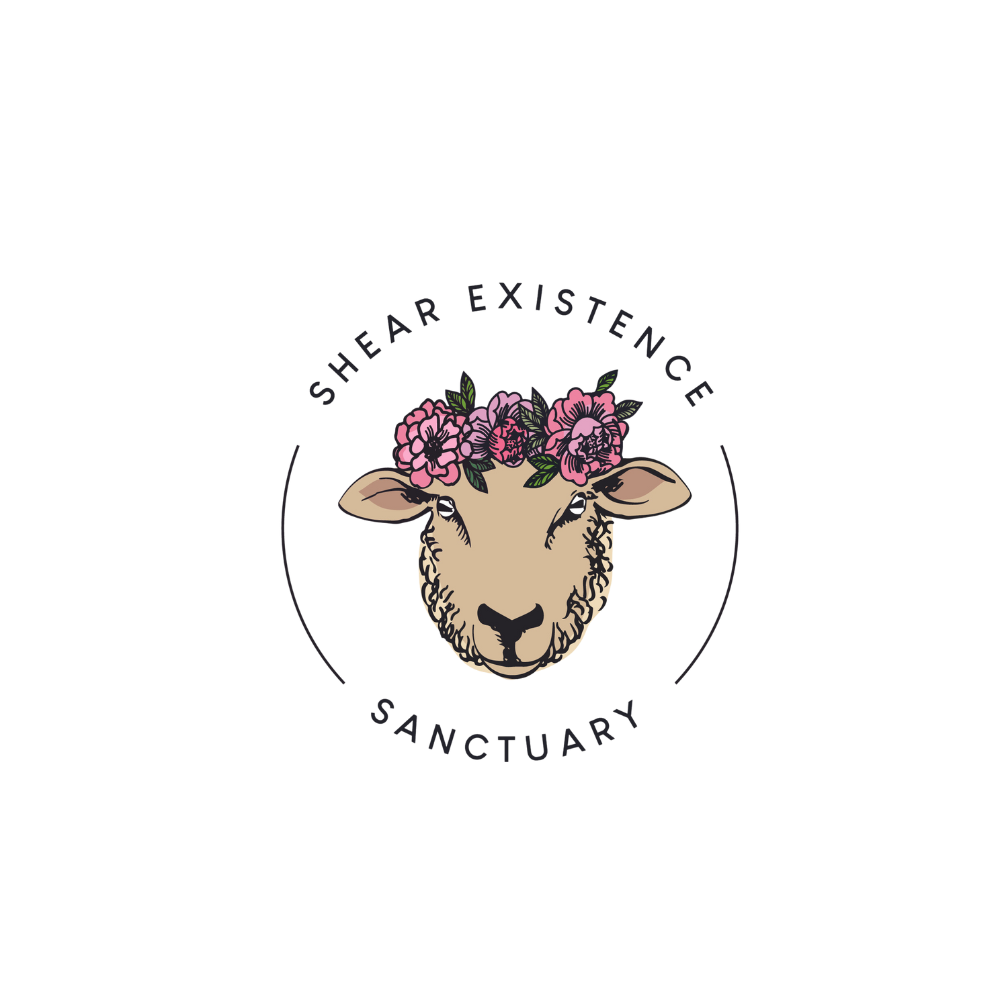 SE Logo no background